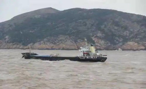 敲黑板│船舶載運易流態化固體散裝貨物安全須知