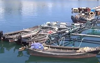 青島銀沙灘一漁船突發(fā)火災(zāi) 兩名船員跳海逃生