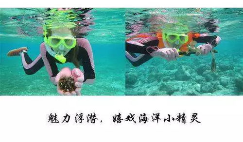 堪比馬爾代夫 中國的西沙簡直美爆 江北資深導游親自帶隊,含機場接送