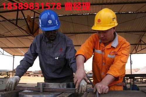 辰逸人力食品加工廠招工,非洲國(guó)外勞務(wù)的司機(jī)