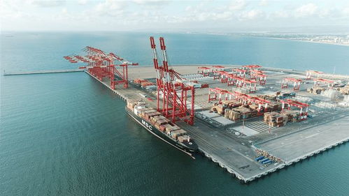 地中海沿岸最先進碼頭開港,它的運營管理者是家上海企業(yè)
