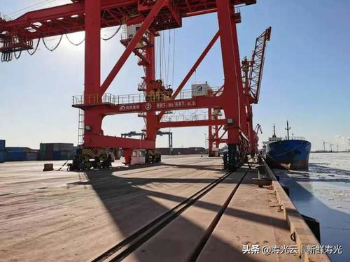 全面限航 壽光部分海域海冰厚度已達(dá)10 15cm...