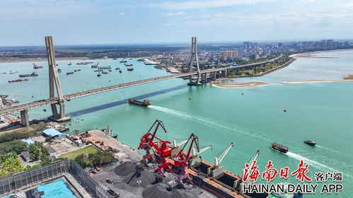 視頻 儋州 按下環(huán)新英灣自貿(mào)港新城建設(shè) 加速鍵
