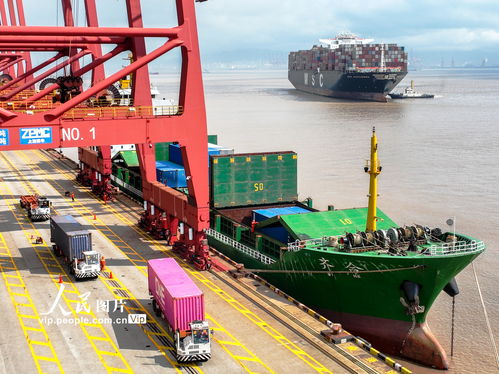 寧波舟山港 船來船往力保外貿供應產業鏈順暢